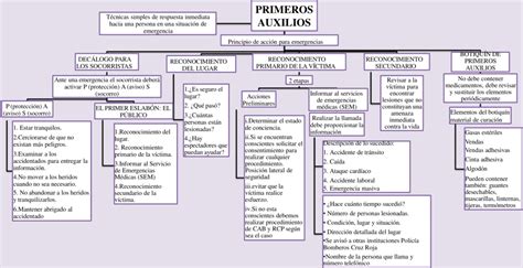 Mapas Conceptuales De Los Primeros Auxilios Descargar