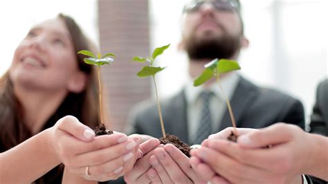 The Benefits Of Corporate Social Responsibility A Comprehensive Guide