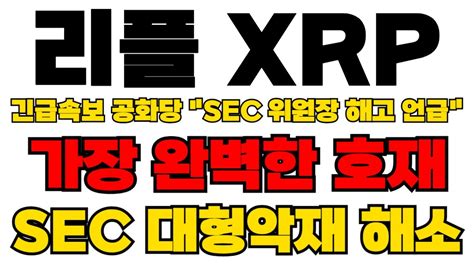 리플 Xrp 긴급속보 미 공화당 Sec 위원장 해고 언급 가장 완벽한 호재는 Sec 대형 악재 해소 영상 꼭 끝까지보세요