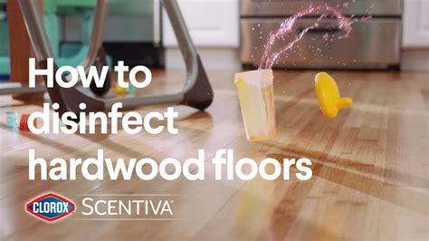 How To Disinfect Hardwood Floors Clorox Youtube