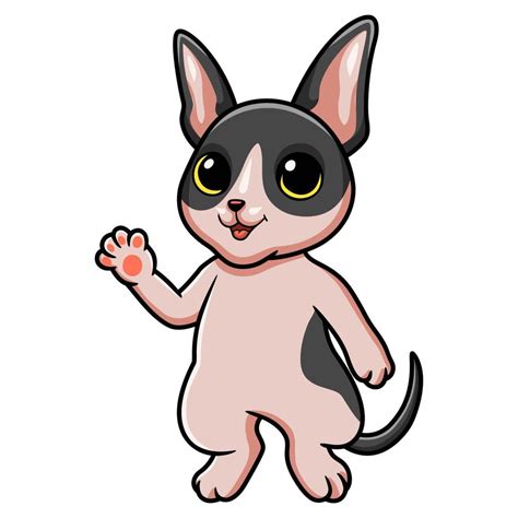 Cute Cat Cornish Rex Cartoon Waving Hand 16613867 Vector Art At Vecteezy