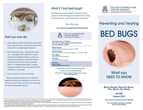 Preventing And Treating Bed Bugs Brochure Maine Gov