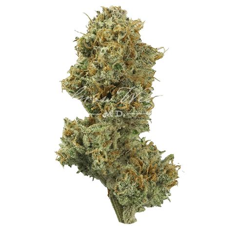 Mile High Volcano Premium Hand Trimmed 3 5g Grow West Cannabis