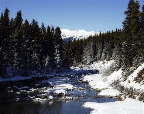 Kostenlose Foto Landschaft Baum Wasser Wald Bach Wildnis Berg