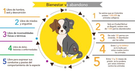 Clínica Veterinaria de La Salle revela radiografía del abandono animal