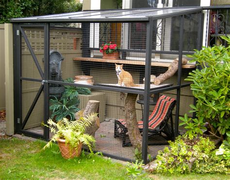Catio Cost Unleashing Your Felines Inner Explorer Without Breaking