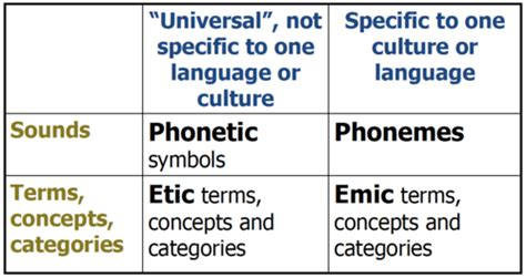 Cultural Anthropology Complete Review Flashcards Quizlet