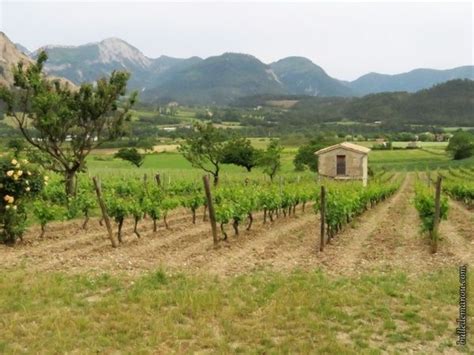 Les cabanons de vigne 1 Balade à Châtillon en Diois dans la Drôme