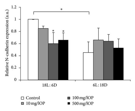 a Representative Western blot analysis of N cadherin β catenin and