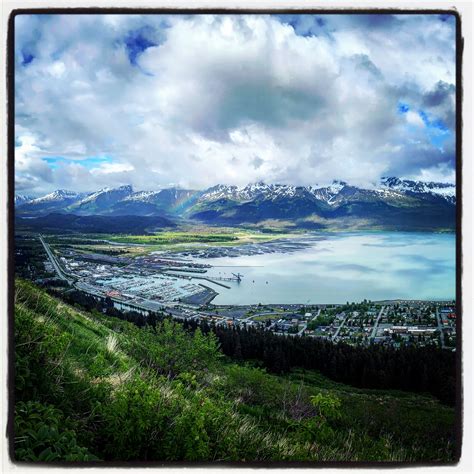 Orca Island Cabins - Look around, you never know what you’ll spot. #
