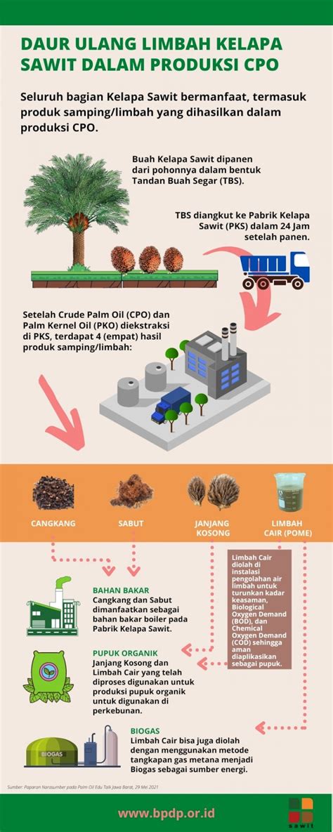 Daur Ulang Limbah Kelapa Sawit Dalam Produksi Cpo Beranda