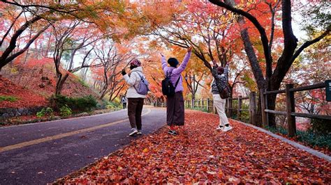 국내가을여행지베스트10 단풍구경 단풍명소 수도권 가볼만한곳