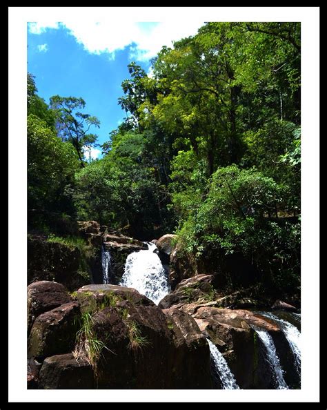 Cachoeira Pedro David - CACHOEIRA PEDRO DAVID (Sao Jose Dos Campos): Ce qu'il faut savoir pour ...