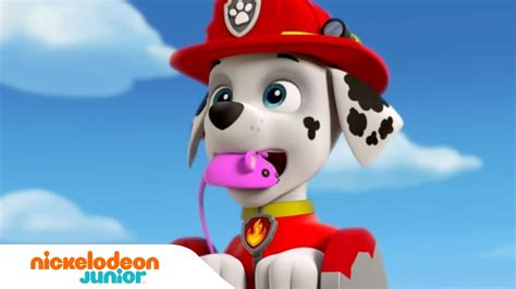 Paw Patrol La Pat Patrouille Petits Et GRANDS Sauvetages Nick