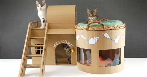 Casinha Para Gatos Ideias Criativas Materiais Reciclados