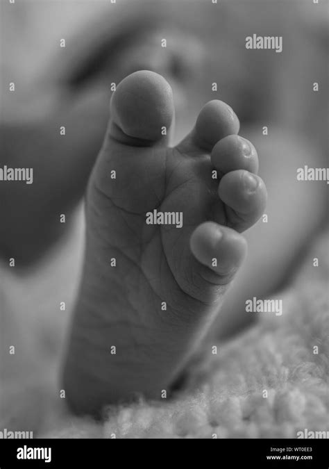 Baby Feet Black And White Stock Photos And Images Alamy