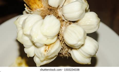 Fruits Sabah Borneo Called Buah Tarap Stock Photo 1503234338 | Shutterstock