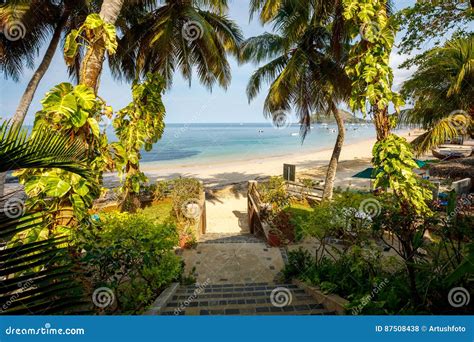 Paradise Beach In Nosy Be Madagascar Stock Photo Image Of Dream