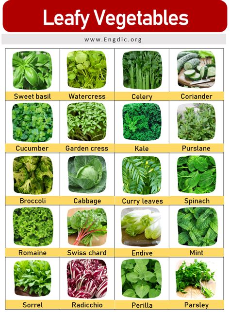 List Of Green Leafy Vegetables With Names