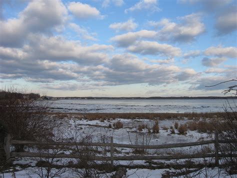 New England Nature Notes A Delightful Day Of Birding At Plum Island