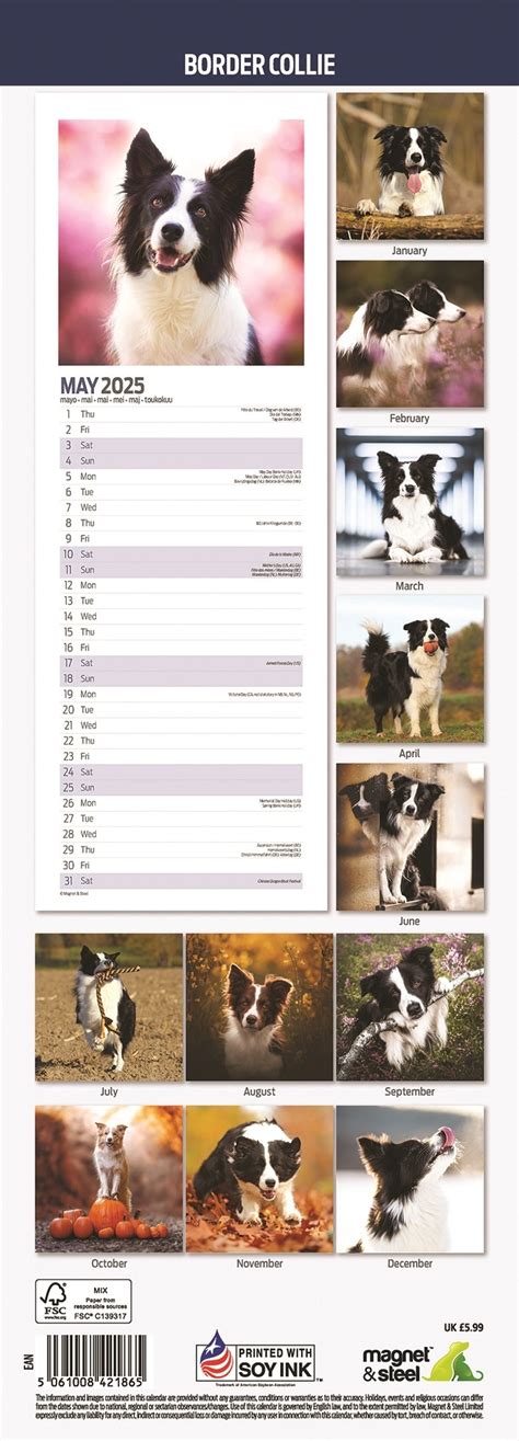 Calendrier Border Collie 2025 Slimline Acheter Commander Facilement