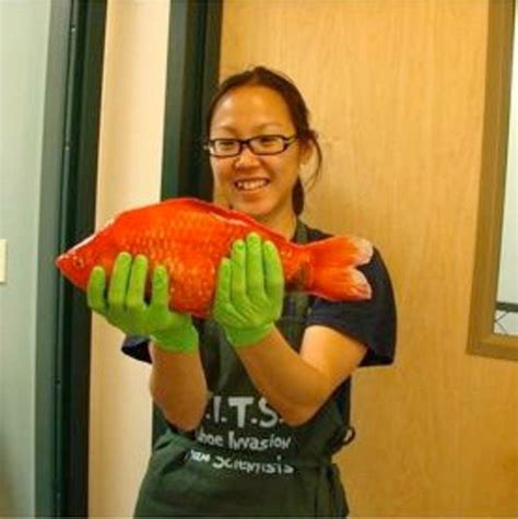 6 Largest Goldfish in the World - Largest.org