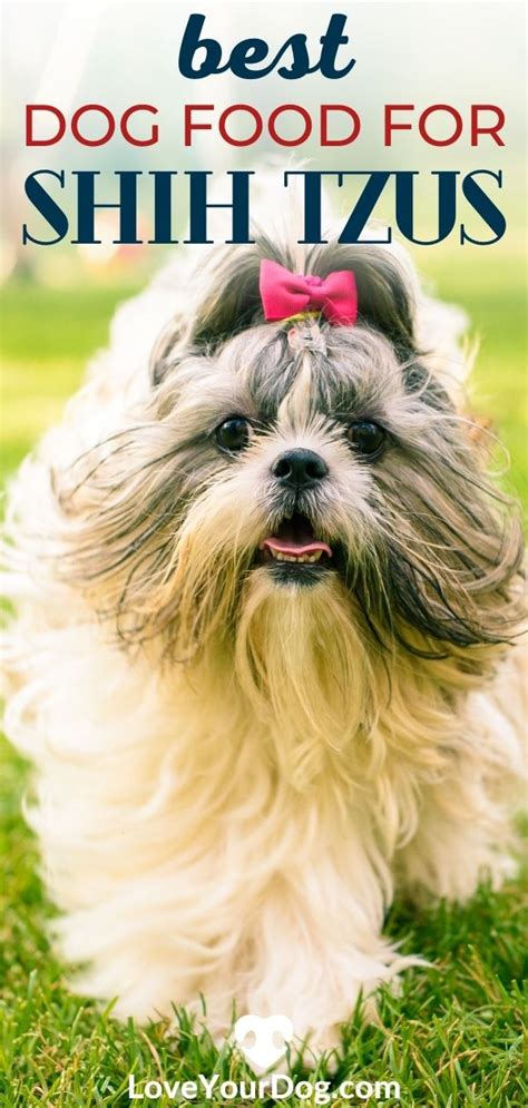 Best Dog Foods For Shih Tzus Puppies Adults Seniors Artofit