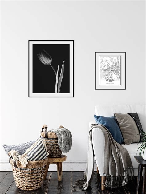 Monotone Tulip Flower Poster Posteryard Snygga Posters Online