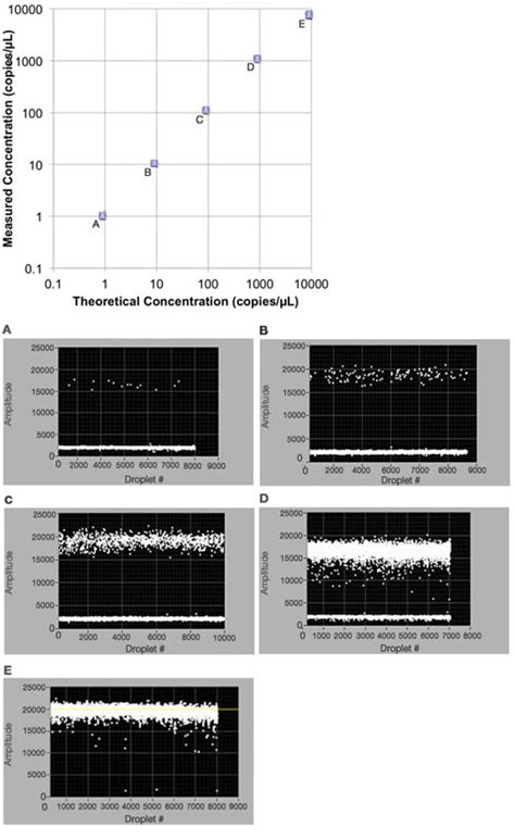 Absolute Quantification of PCR Targets with the Droplet Digital™ PCR ...