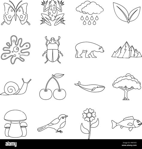 Nature Items Icons Set Outline Style Stock Vector Image And Art Alamy