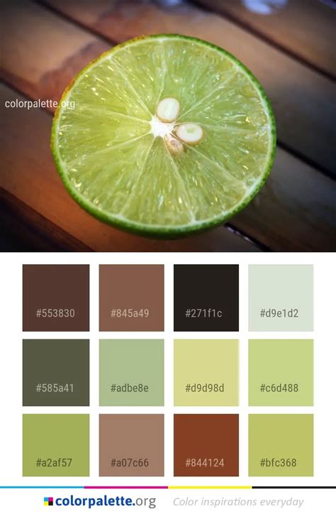 Lime Citrus Lemon Color Palette