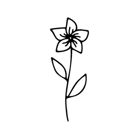 Premium Vector Hand Drawn Herbal Floral Clipart One Line Doodle Vector