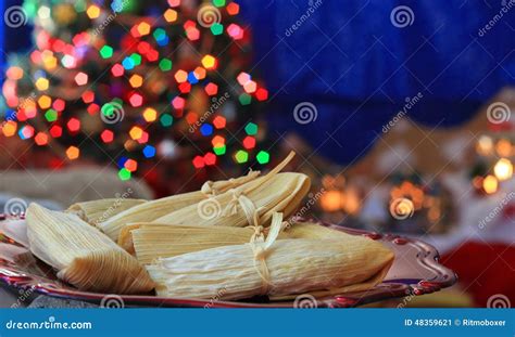 Mexican Tamales In Corn Leaf Royalty-Free Stock Photography | CartoonDealer.com #174459581