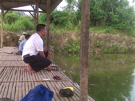 Umpan Juara Lomba mancing Ikan Mas Ala Pa Adang ~ FOKUS MANCING