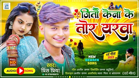 Prince Priya Ka Bewafa Gana जत कन क तर यरव Bewafa Song