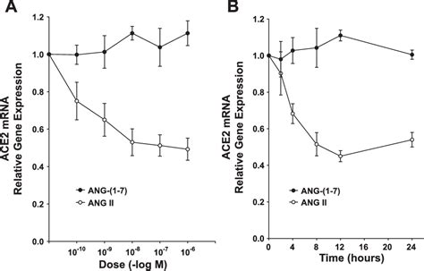 Figure 2 From MAP Kinase Phosphatase Pathway Mediates The Regulation Of