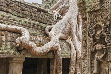 Circuit Tr Sors Du M Kong Tha Lande Cambodge Et Vietnam