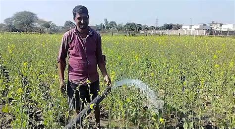 मौसम की मार किसानों को कड़ाके की ठंड का इंतजार ये फसल होगी प्रभावित