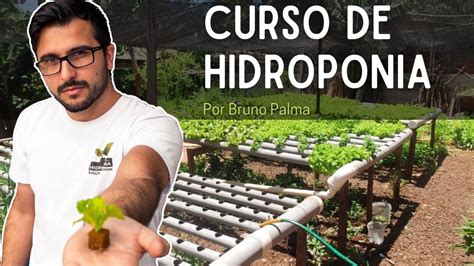 Curso De Hidroponia Por Bruno Palma YouTube