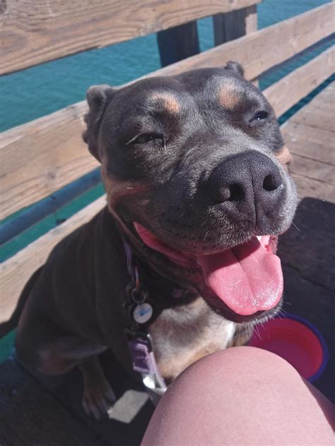 Best Beach Babe Images On Pholder Old School Cool Aww And Smite