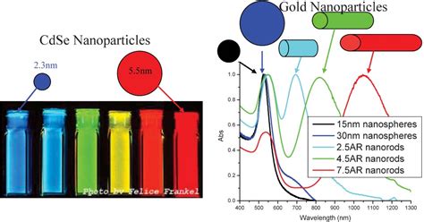 Figure 2 From Why Gold Nanoparticles Are More Precious Than Pretty Gold Noble Metal Surface