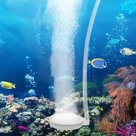 Ossigenatore Aeratore Acquario Mm Pietra Ad Aria Per Acquario