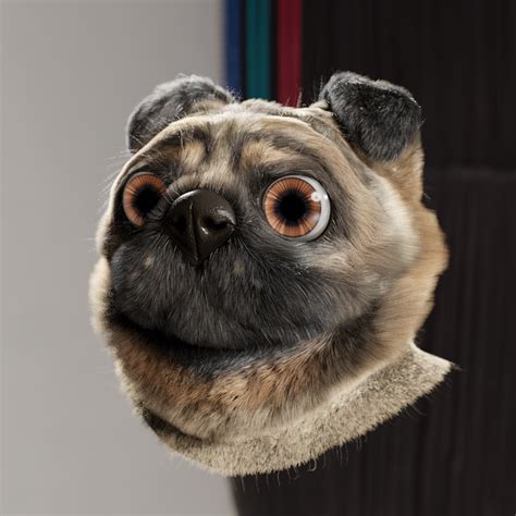 Furry Pug Atelier Yuwaciaojp