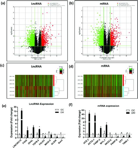 Lncrna And Mrna Expression Profiles Based On Microarray Profiling Data