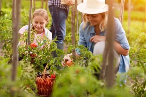 Cosas Que Debes Saber Sobre El Agroturismo Sao Viajes