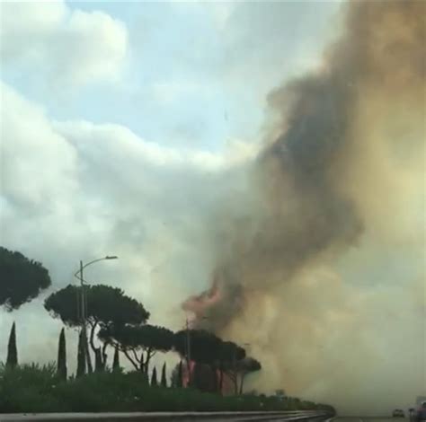 Terribile Incendio Sulla Roma Fiumicino Fumo Sulla Carreggiata