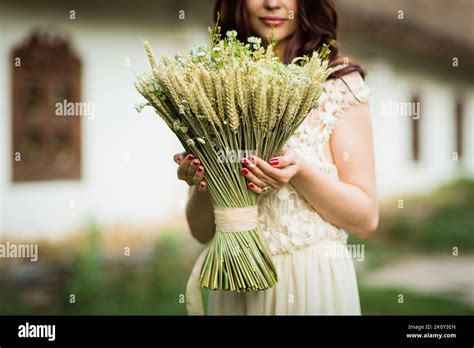 Women S Hands Hold A Bouquet Of Dry Flowers And Ears In A Rural Areas