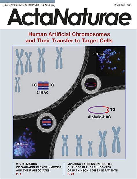 Human Artificial Chromosomes And Their Transfer To Target Cells