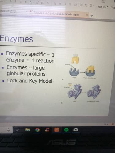 Microbial Metabolism Flashcards Quizlet