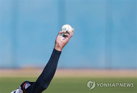 Wbc 캠프 공인구 적응 전략 세우는 태극전사들낮게 던져라 연합뉴스